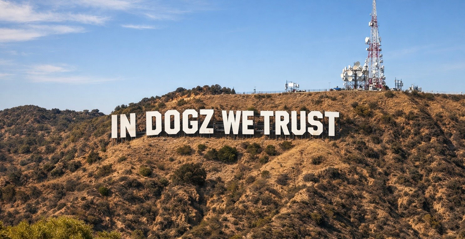 slider image slider_item_6jGQXz