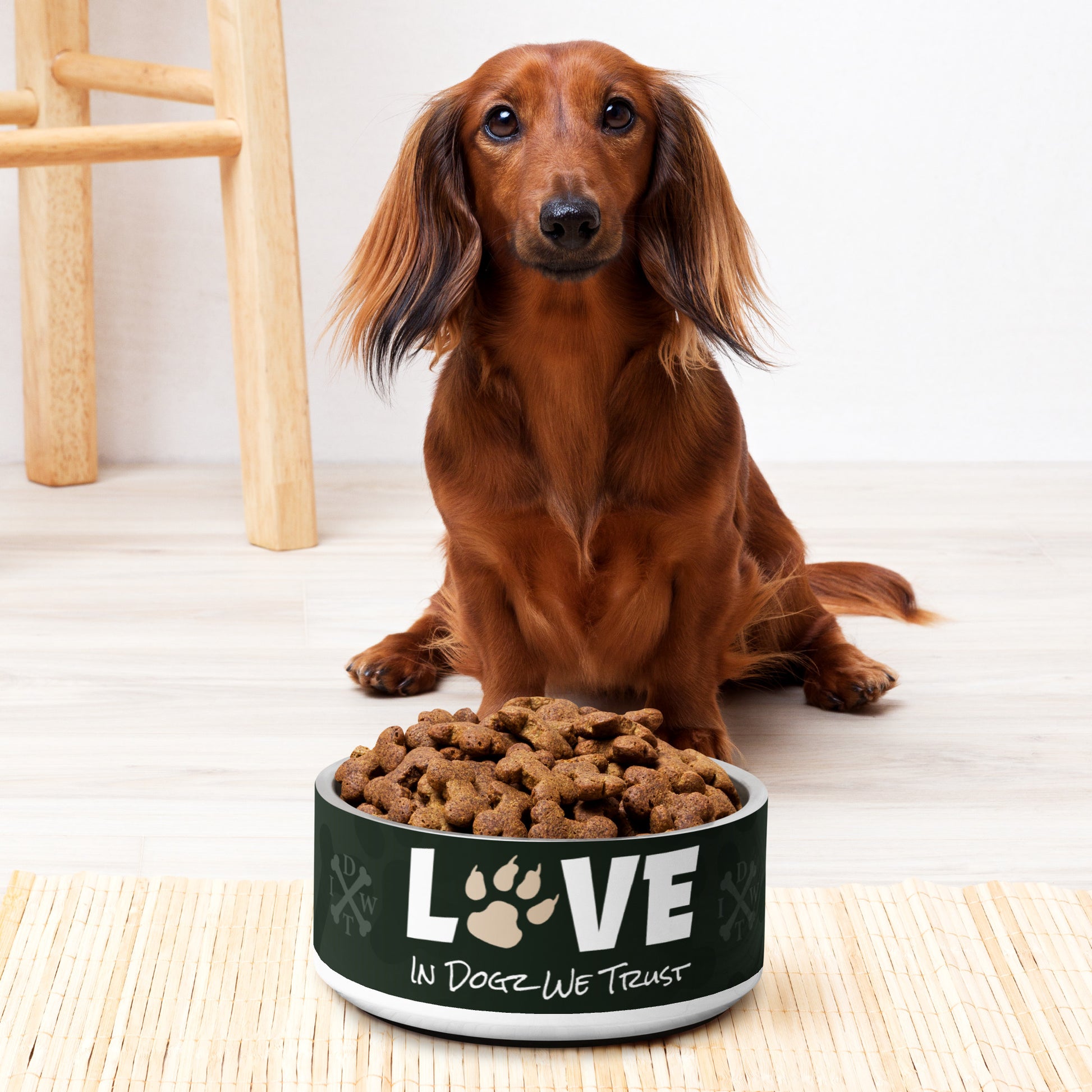 Puppy Love Pet Bowl - In Dogz We Trust - 32 oz - Front Display with Kibble and Dash Hound
