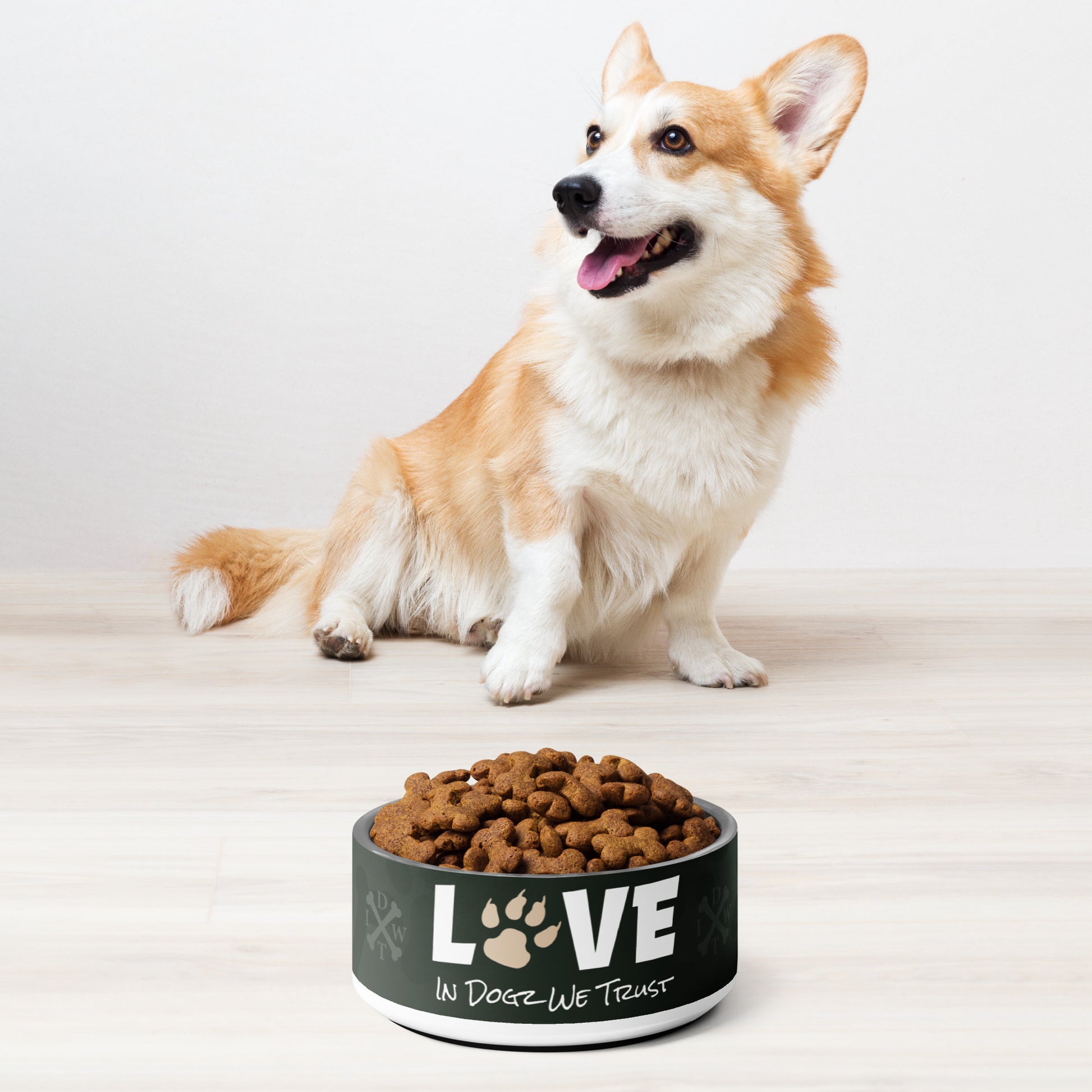 Puppy Love Pet Bowl - In Dogz We Trust - 18 oz - Front Display with Kibble and Corgi