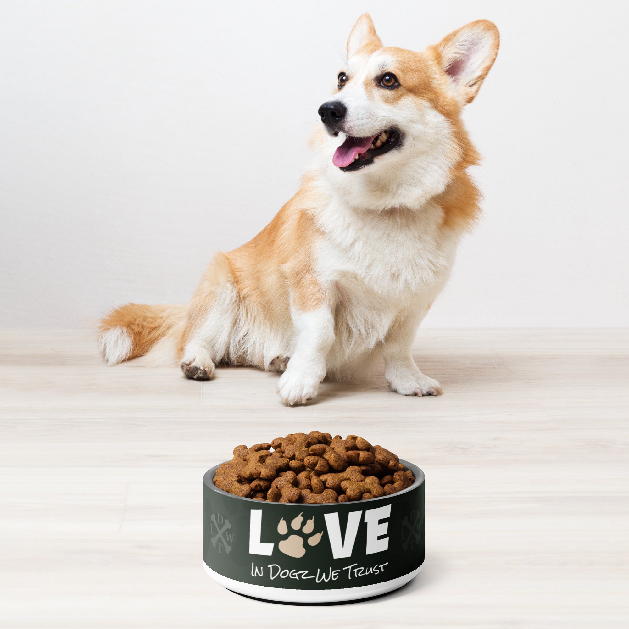 Puppy Love Pet Bowl - In Dogz We Trust - 18 oz - Front Display with Kibble and Corgi