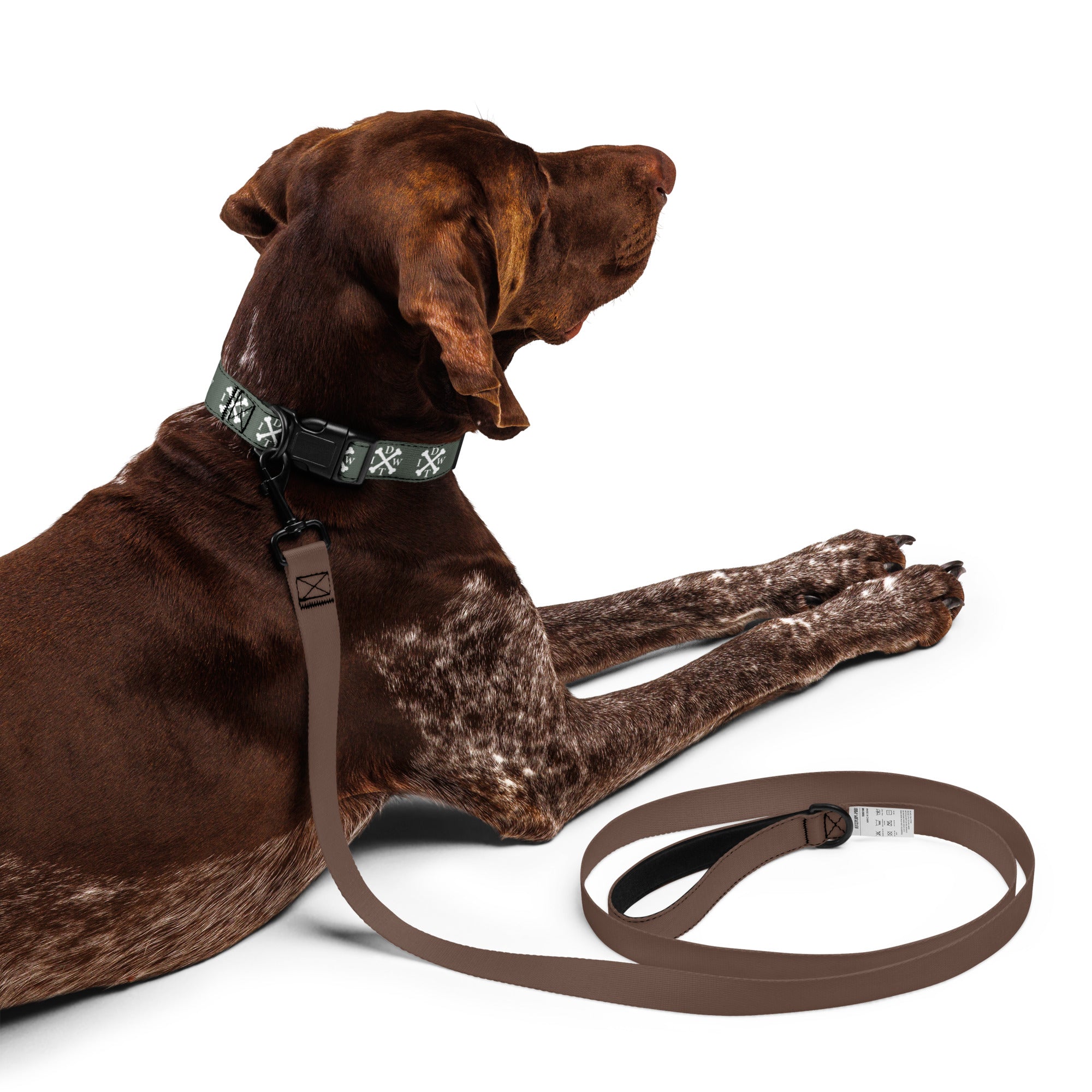 Crossbones Adjustable Dog Collar - Forest Green with White IDWT Logos - In Dogz We Trust - German Pointer Model