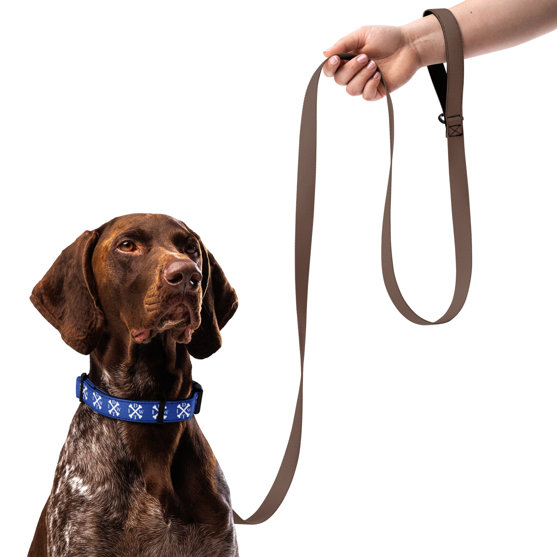 Crossbones Adjustable Dog Collar - Blue with White IDWT Logos - In Dogz We Trust - German Pointer Model