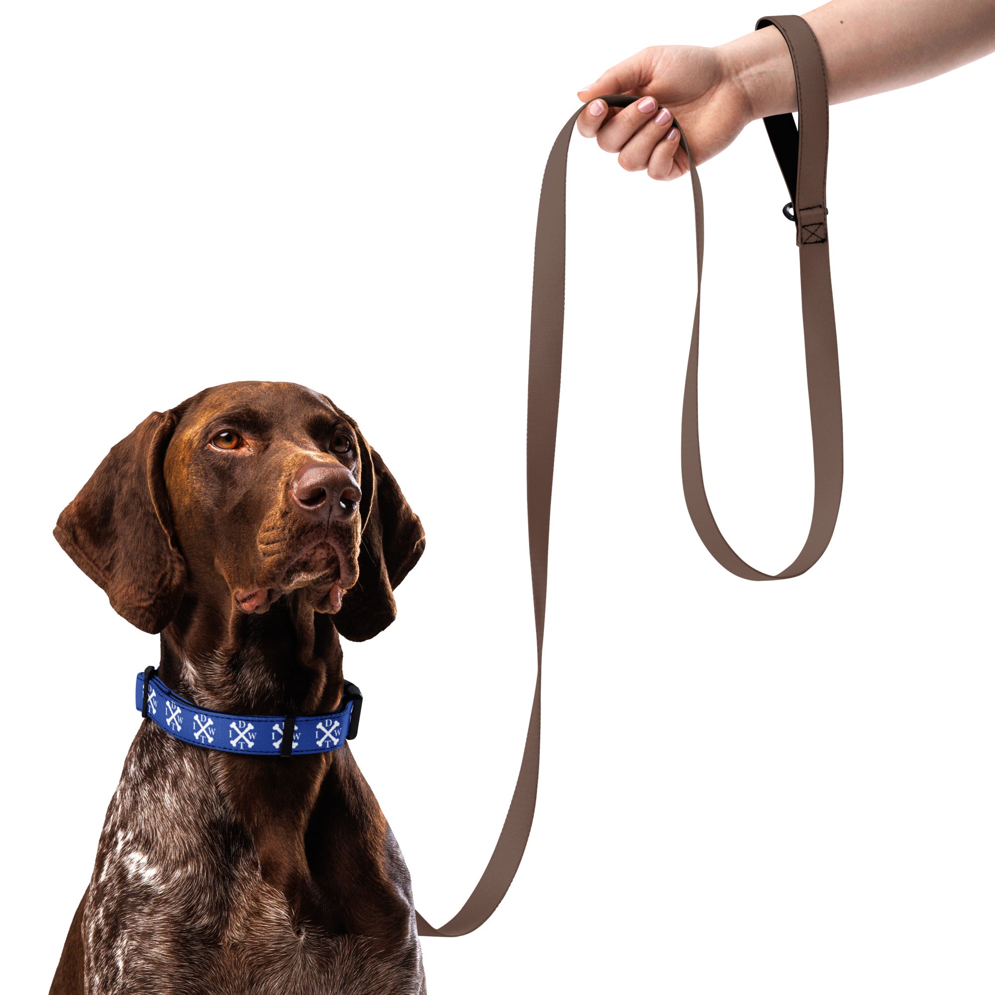 Crossbones Adjustable Dog Collar - Blue with White IDWT Logos - In Dogz We Trust - German Pointer Model
