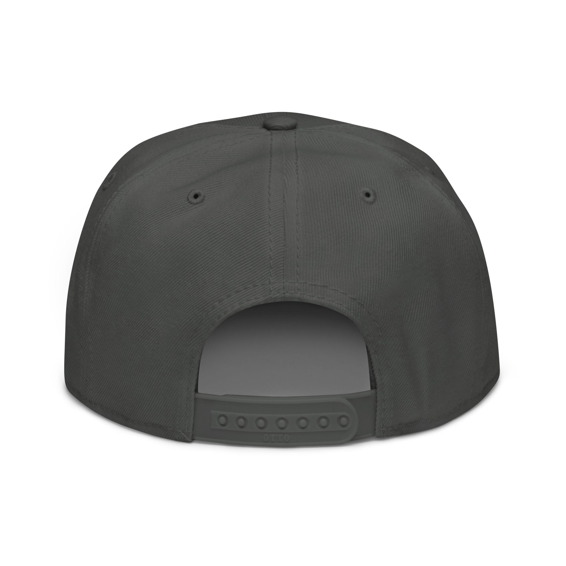 AZ Support Local Shelters Snapback Hat - Grey with White Design - In Dogz We Trust - Back View