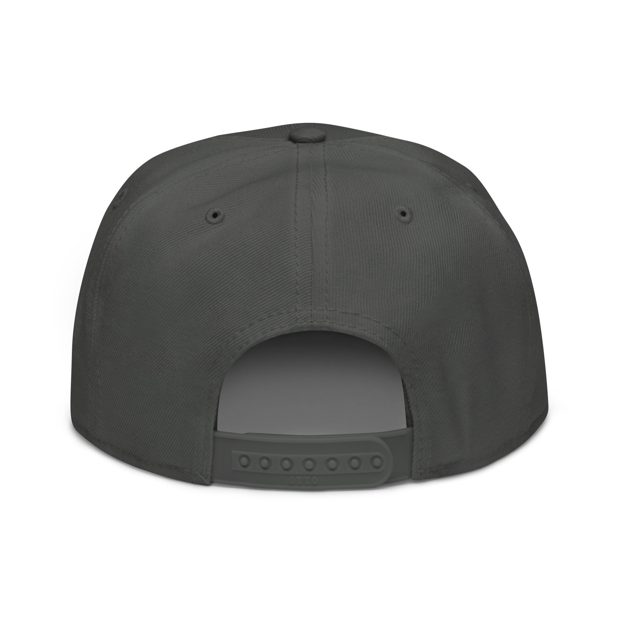 AZ Support Local Shelters Snapback Hat - Grey with White Design - In Dogz We Trust - Back View